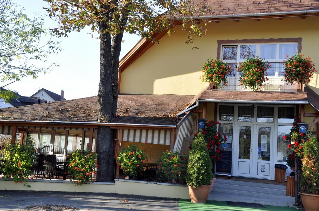 Tengerszem Panzio Bed and Breakfast Bánk Eksteriør billede